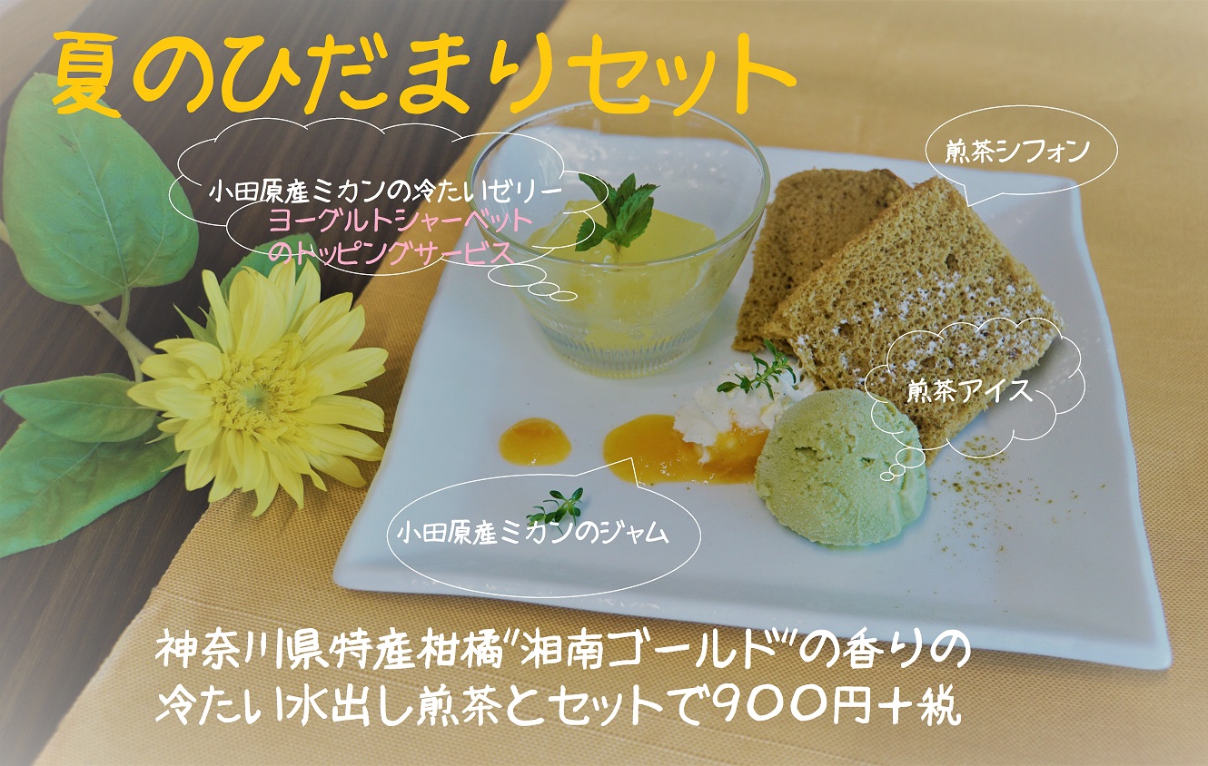 夏のひだまりセット